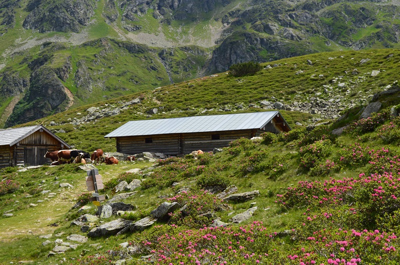 Giglachsee (12)