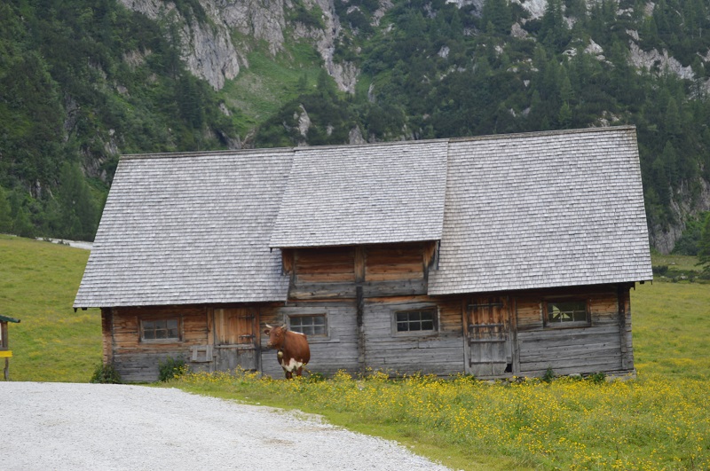 Giglachsee (20)