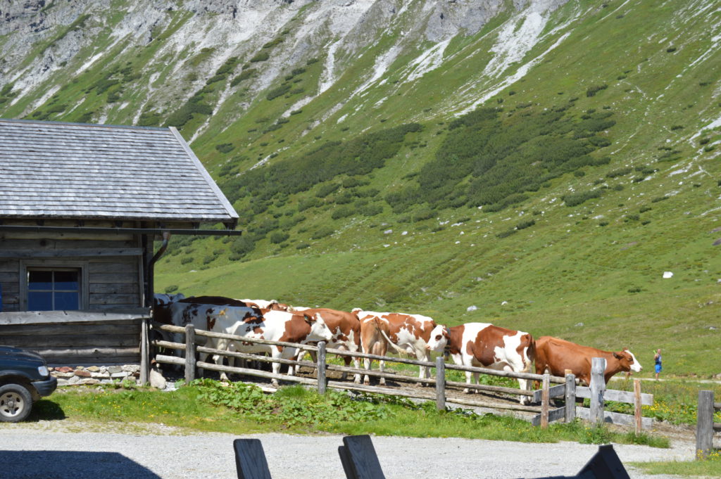 Oberhutte (106)