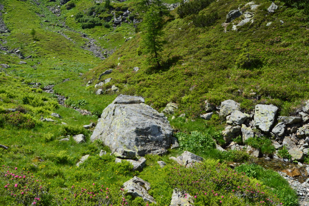 Oberhutte (54)