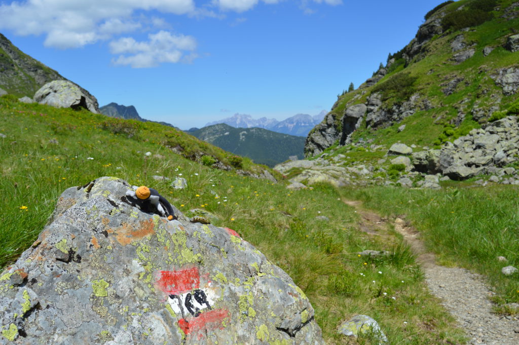 Oberhutte (61)