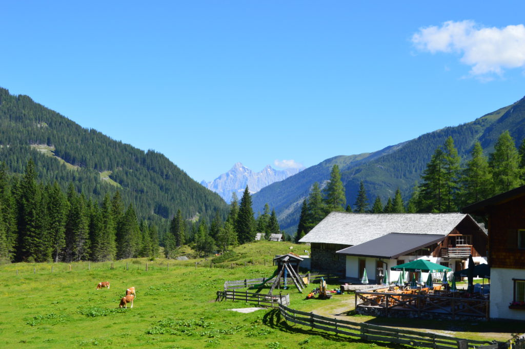 Oberhutte (7)