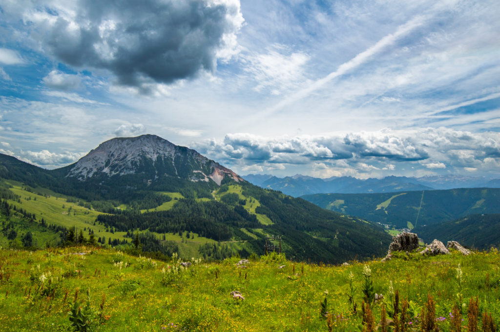 Hofpürglhütte Enzianland