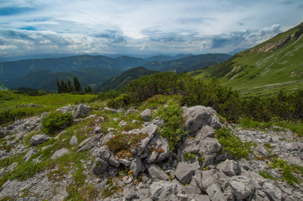 Hofpürglhütte Enzianland