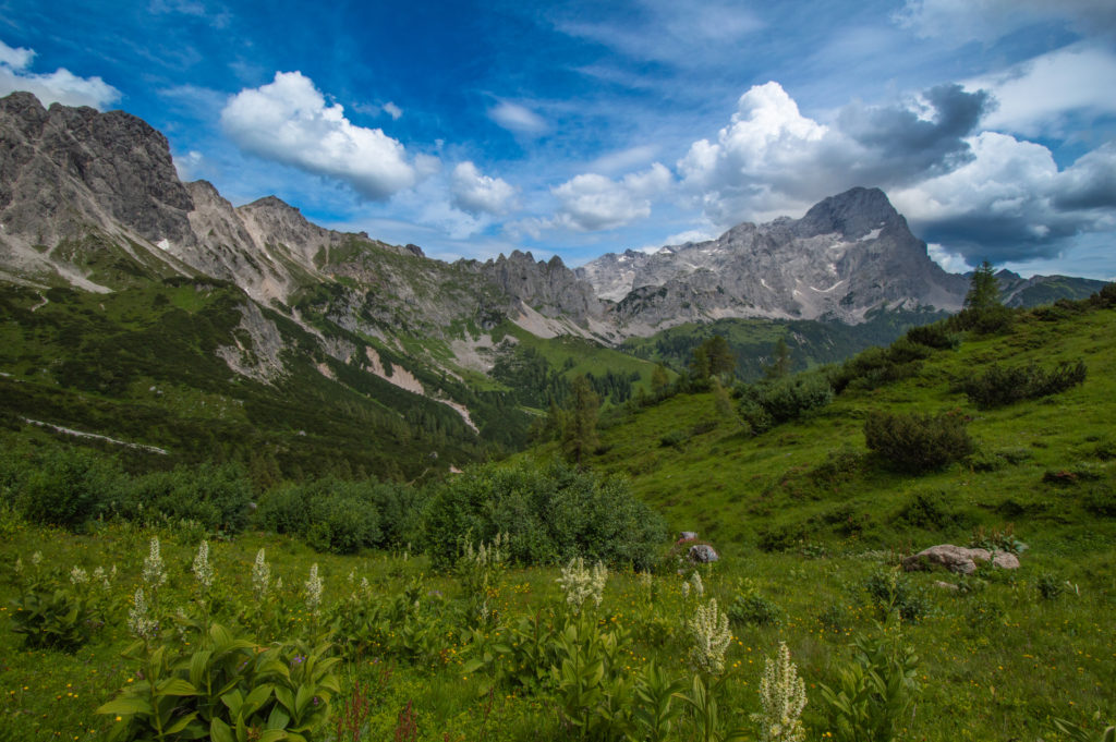 Hofpürglhütte Enzianland