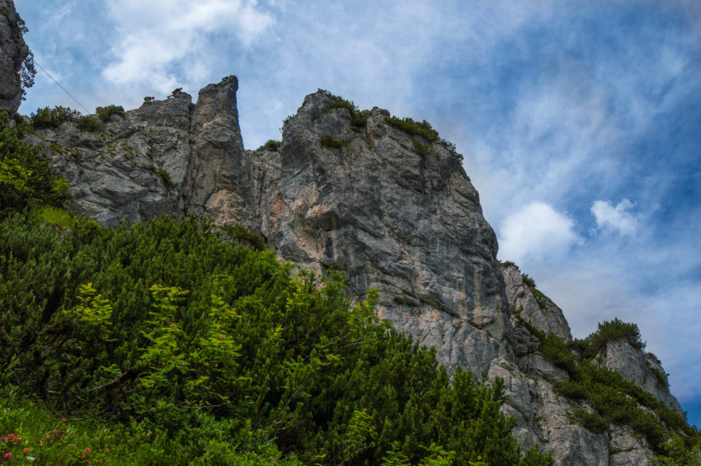 Hofpürglhütte Enzianland