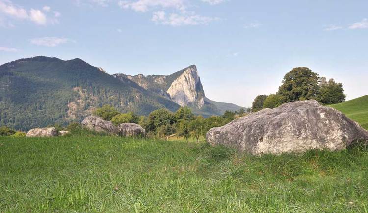 Mondsee Enzianland