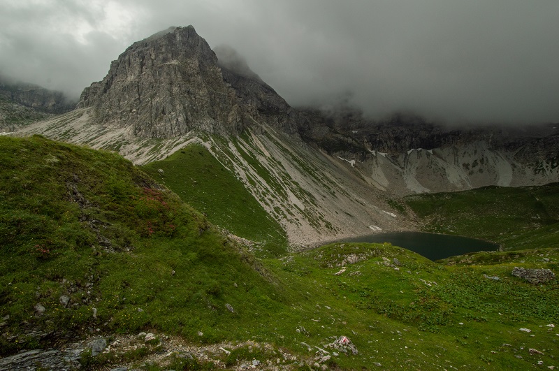 Wildsee (4)