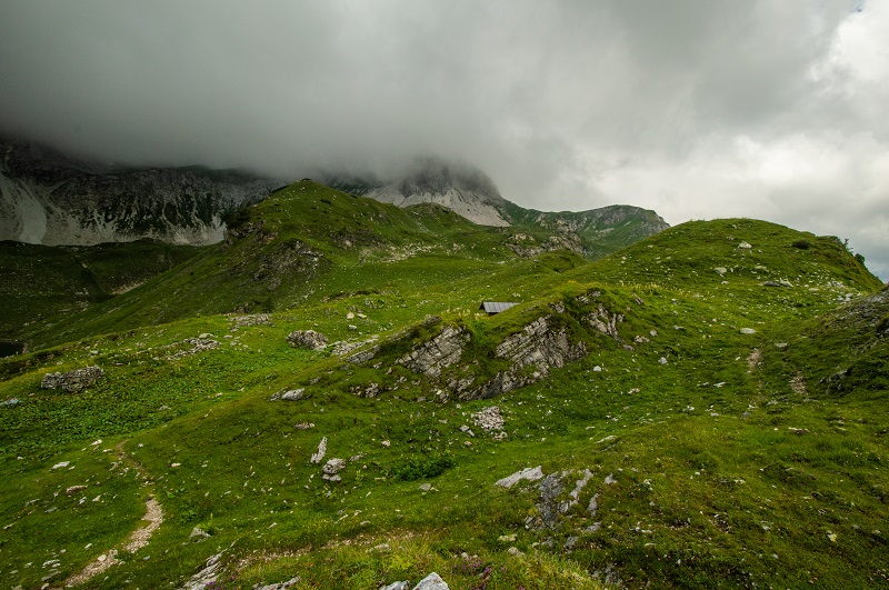 Wildsee (5)