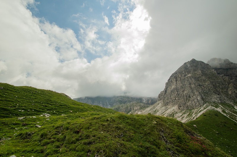Wildsee (6)