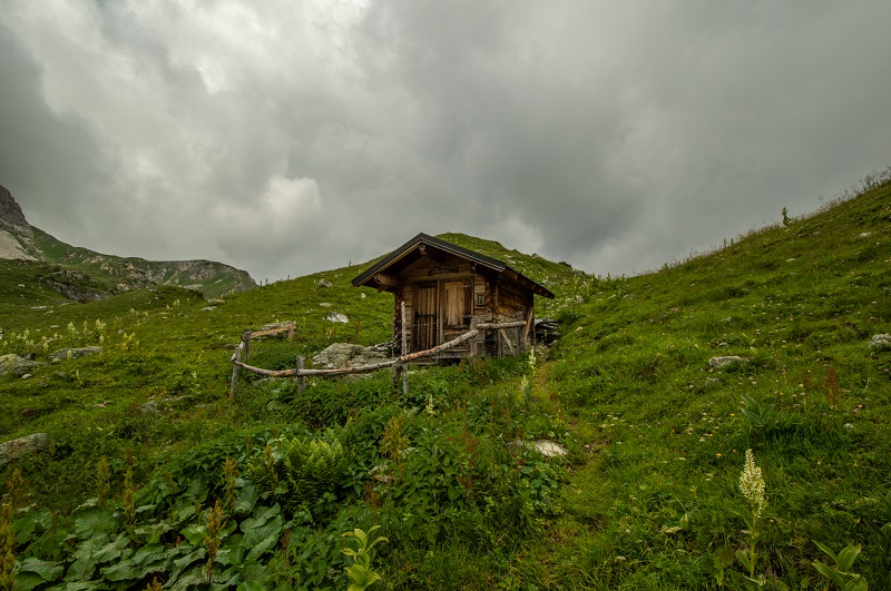 Wildsee (8)