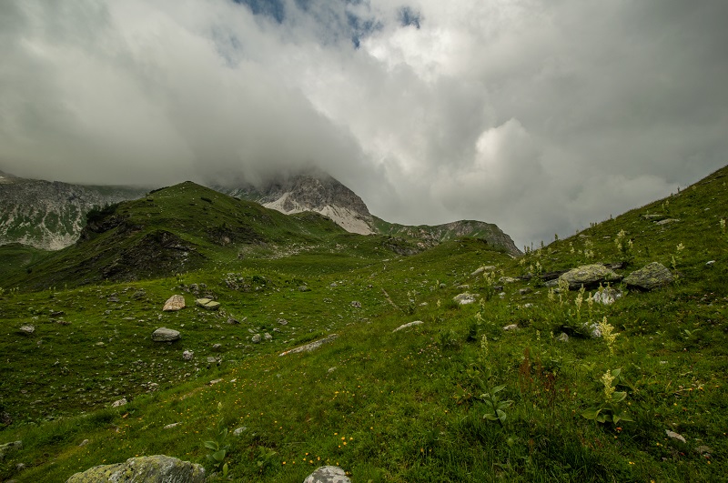 Wildsee (9)