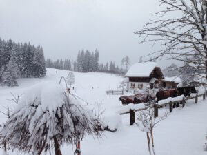 Enzi Vás zve do Ramsaum am Dachstein