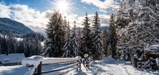 Flachau - Enzianland