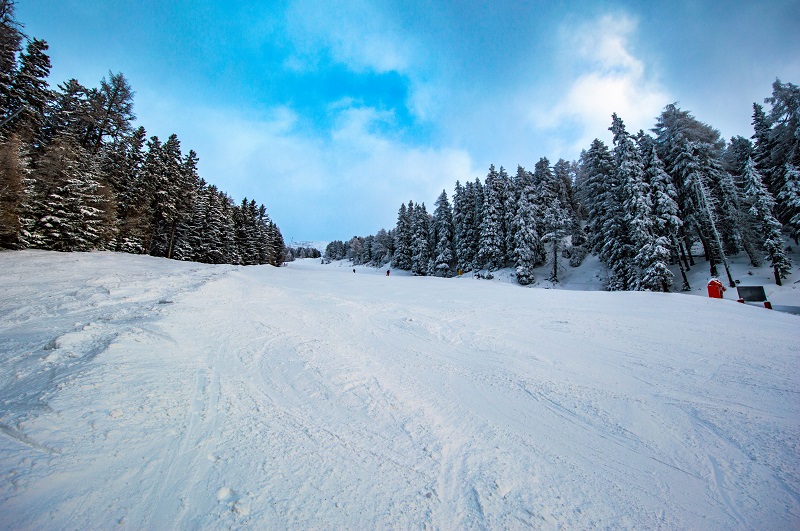 Patscherkofel_Enzianland (14)